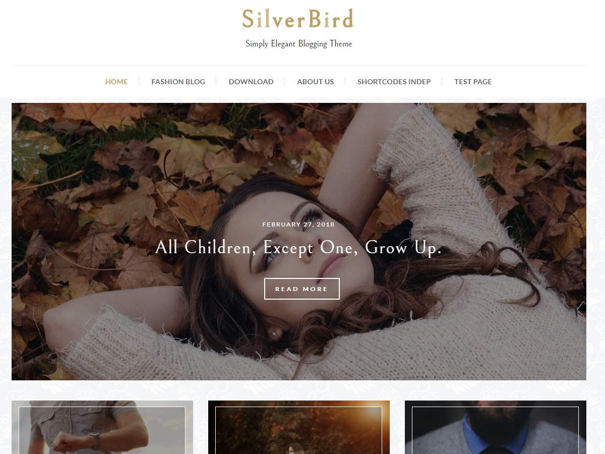 SilverBird Preview Wordpress Theme - Rating, Reviews, Preview, Demo & Download