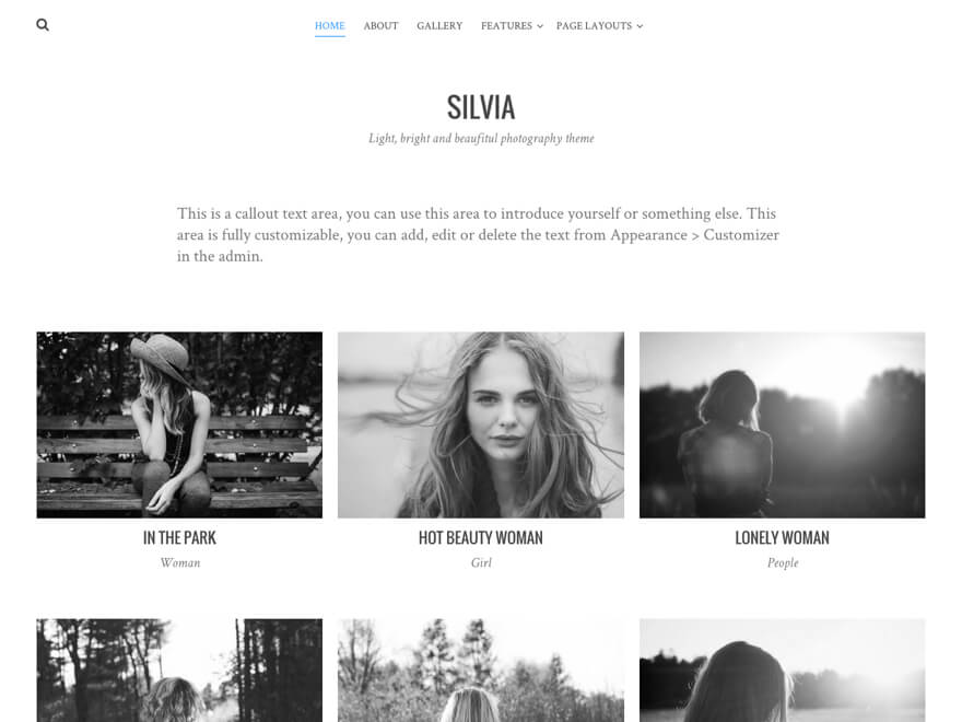 Silvia Preview Wordpress Theme - Rating, Reviews, Preview, Demo & Download