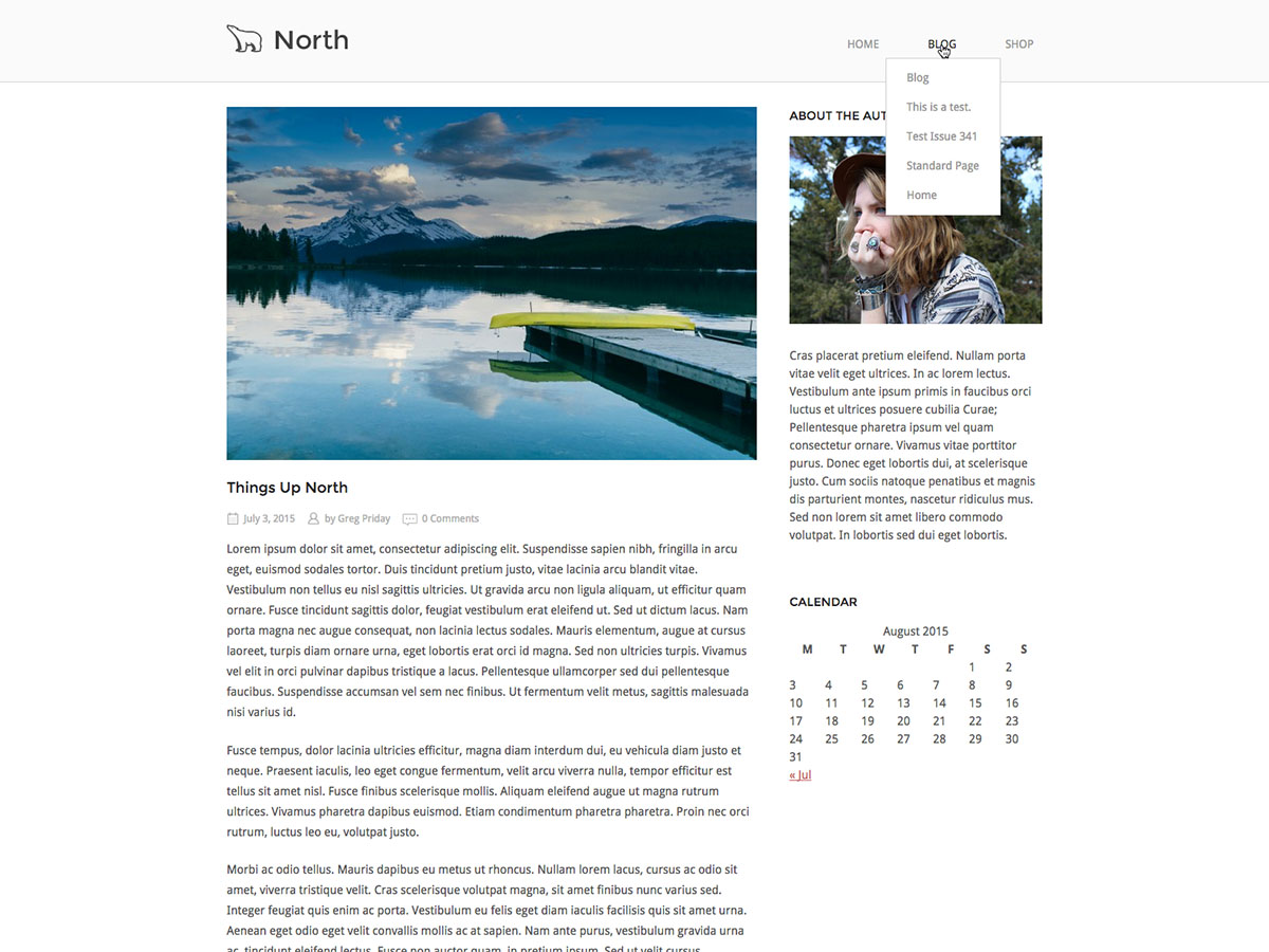 SiteOrigin North Preview Wordpress Theme - Rating, Reviews, Preview, Demo & Download