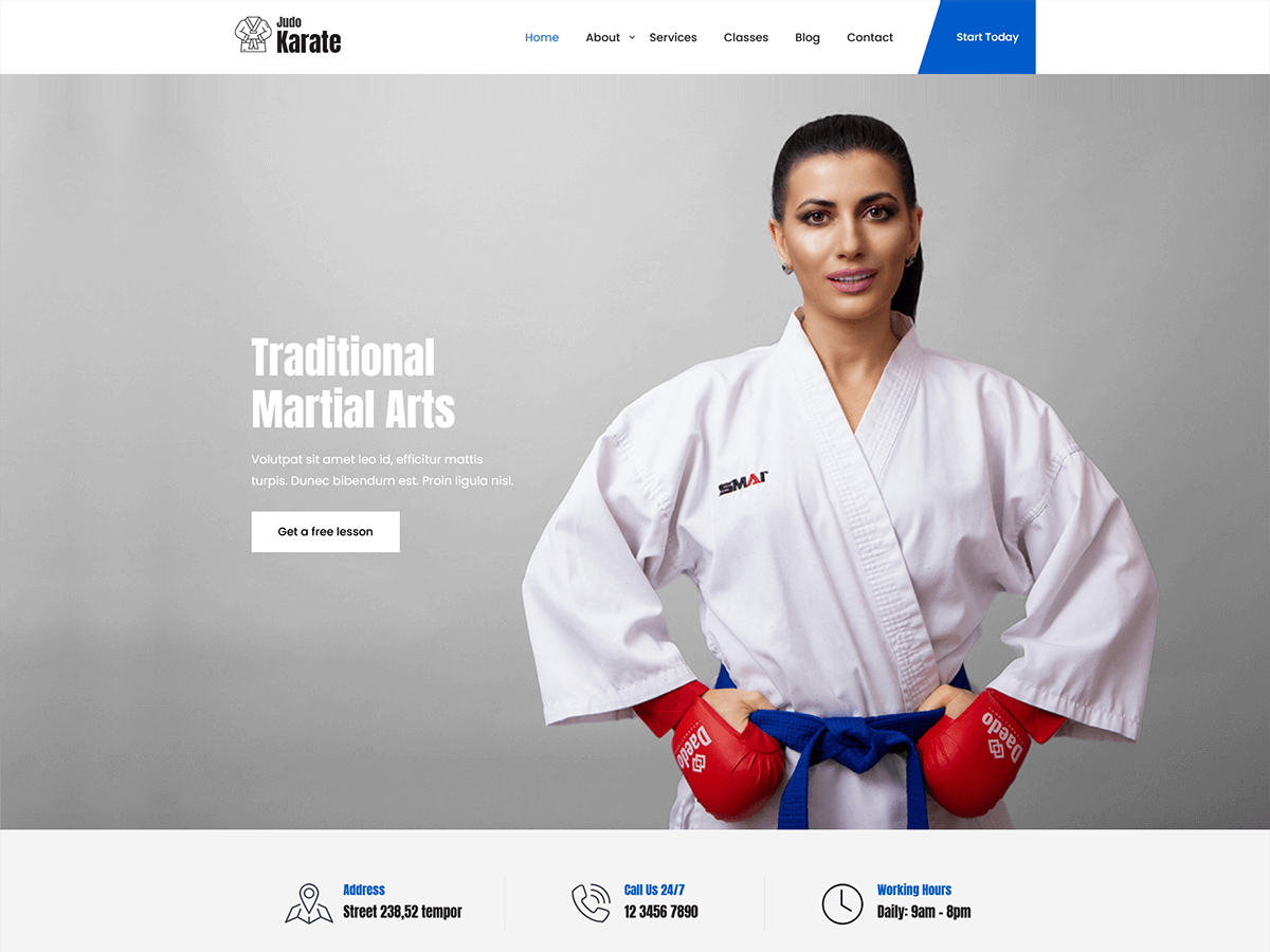 SKT Karate Preview Wordpress Theme - Rating, Reviews, Preview, Demo & Download