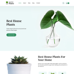SKT Plants