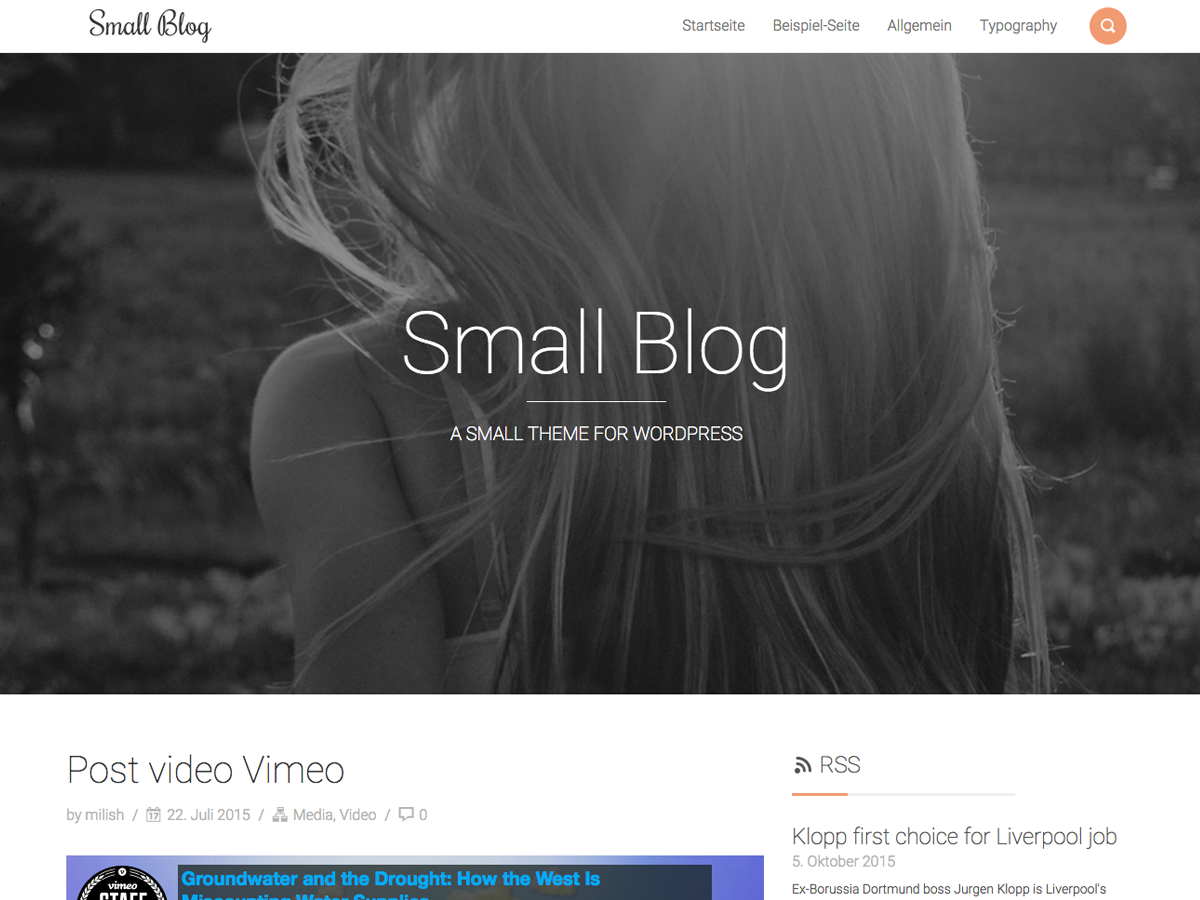 Smallblog Preview Wordpress Theme - Rating, Reviews, Preview, Demo & Download