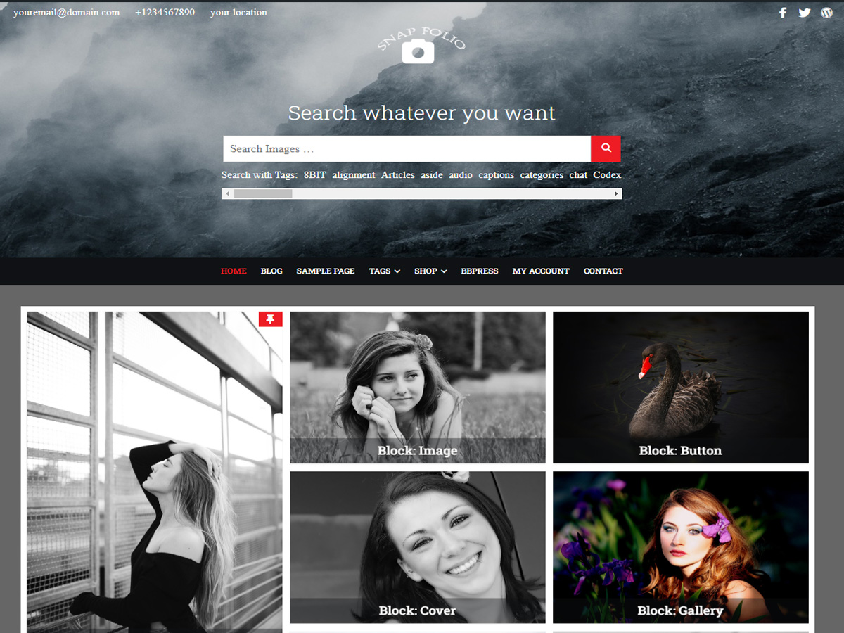Snapfolio Preview Wordpress Theme - Rating, Reviews, Preview, Demo & Download