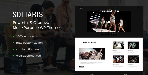 Soliaris Preview Wordpress Theme - Rating, Reviews, Preview, Demo & Download