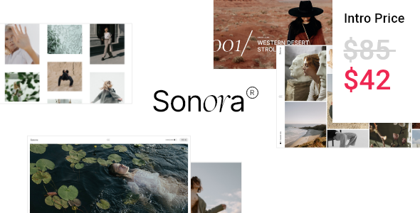 Sonora Preview Wordpress Theme - Rating, Reviews, Preview, Demo & Download