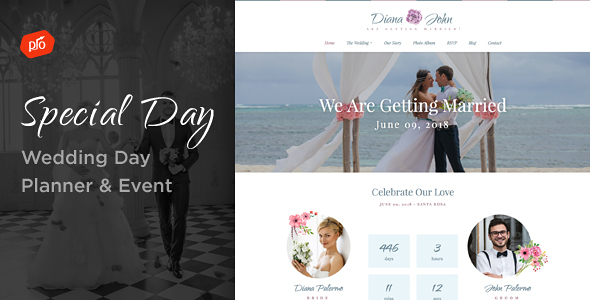 Special Day Preview Wordpress Theme - Rating, Reviews, Preview, Demo & Download