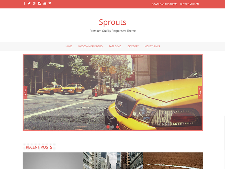 Sprouts Preview Wordpress Theme - Rating, Reviews, Preview, Demo & Download
