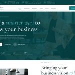 ST Business
