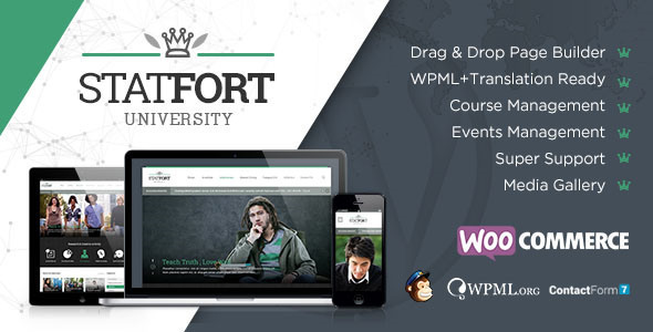 Statfort Preview Wordpress Theme - Rating, Reviews, Preview, Demo & Download