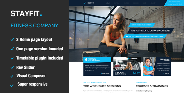 Stayfit Preview Wordpress Theme - Rating, Reviews, Preview, Demo & Download
