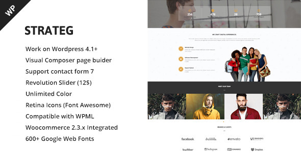 Strateg Preview Wordpress Theme - Rating, Reviews, Preview, Demo & Download