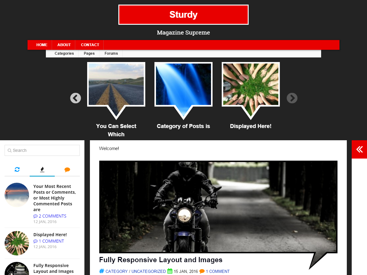 Sturdy Preview Wordpress Theme - Rating, Reviews, Preview, Demo & Download