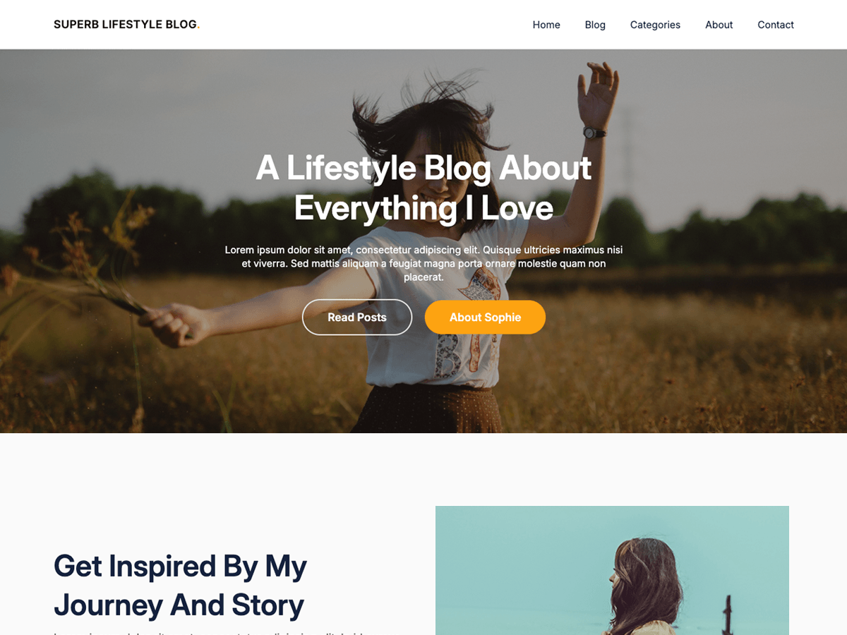 Superb Lifestyle Preview Wordpress Theme - Rating, Reviews, Preview, Demo & Download