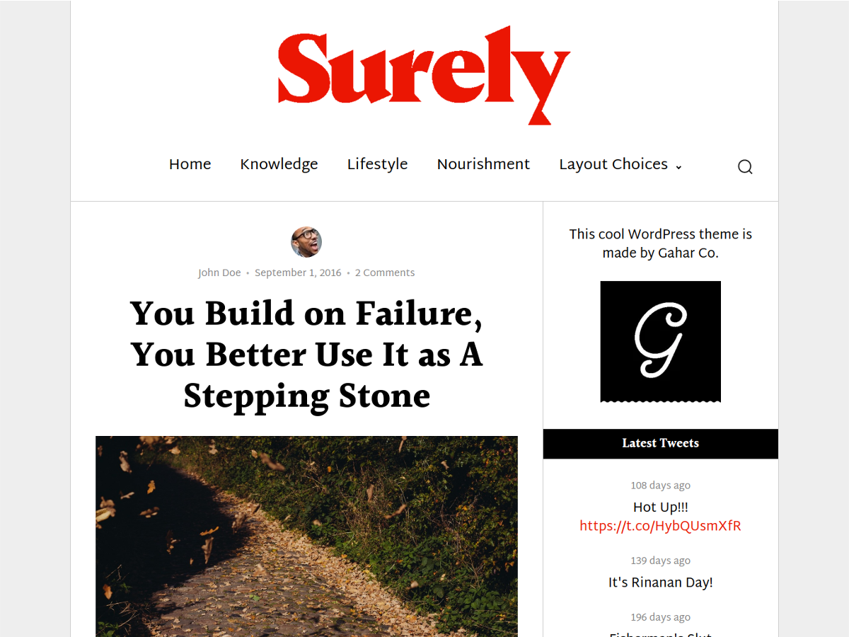 Surely Preview Wordpress Theme - Rating, Reviews, Preview, Demo & Download