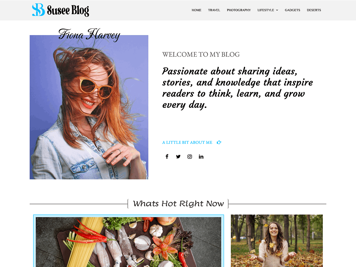 Susee Blog Preview Wordpress Theme - Rating, Reviews, Preview, Demo & Download