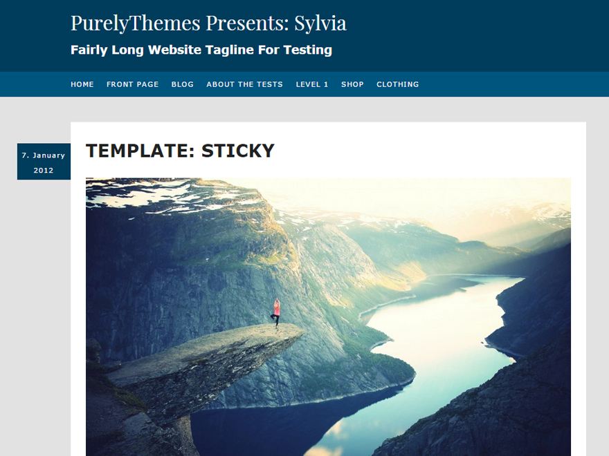 Sylvia Preview Wordpress Theme - Rating, Reviews, Preview, Demo & Download