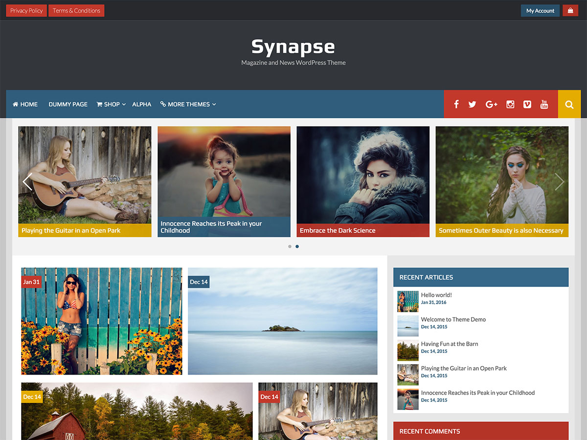 Synapse Preview Wordpress Theme - Rating, Reviews, Preview, Demo & Download