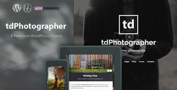 TdPhotographer Preview Wordpress Theme - Rating, Reviews, Preview, Demo & Download