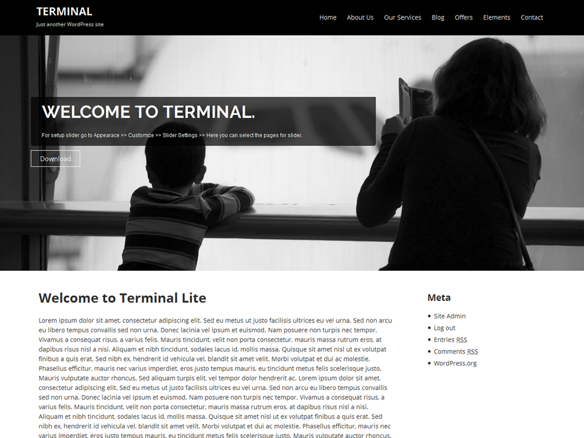 Terminal Lite Preview Wordpress Theme - Rating, Reviews, Preview, Demo & Download