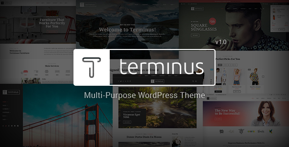 Terminus Preview Wordpress Theme - Rating, Reviews, Preview, Demo & Download