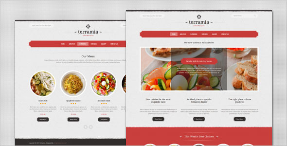 Terramia Preview Wordpress Theme - Rating, Reviews, Preview, Demo & Download