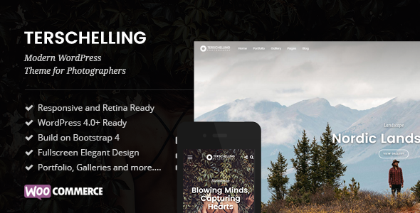 Terschelling Preview Wordpress Theme - Rating, Reviews, Preview, Demo & Download