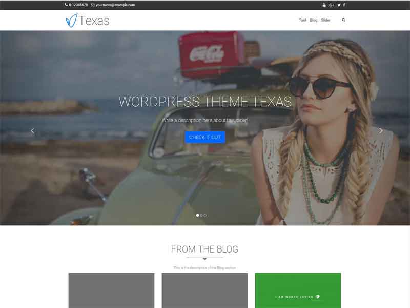 Texas Preview Wordpress Theme - Rating, Reviews, Preview, Demo & Download