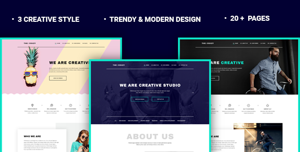 The Crazy Preview Wordpress Theme - Rating, Reviews, Preview, Demo & Download