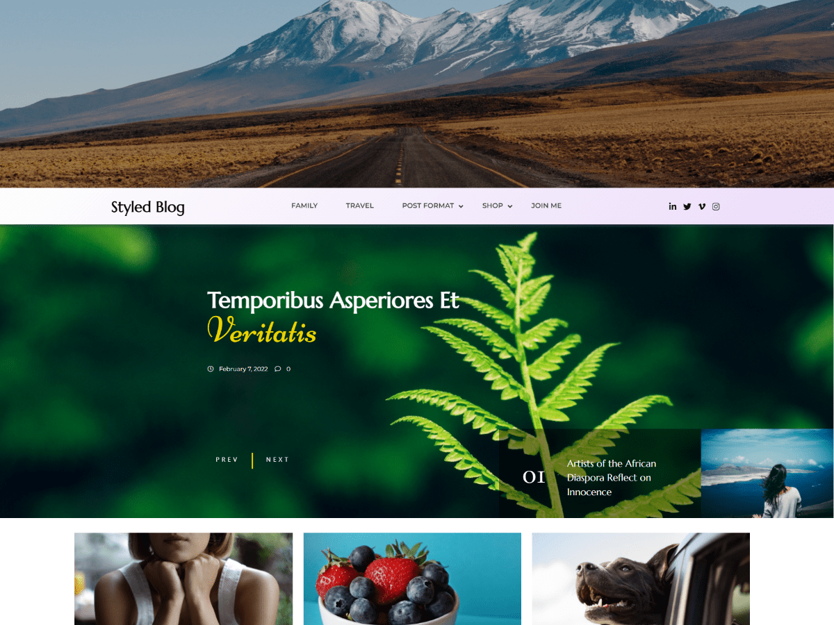 The Styled Preview Wordpress Theme - Rating, Reviews, Preview, Demo & Download