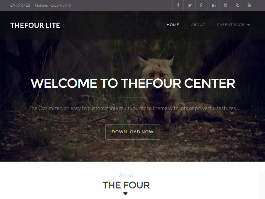 TheFour Lite Preview Wordpress Theme - Rating, Reviews, Preview, Demo & Download