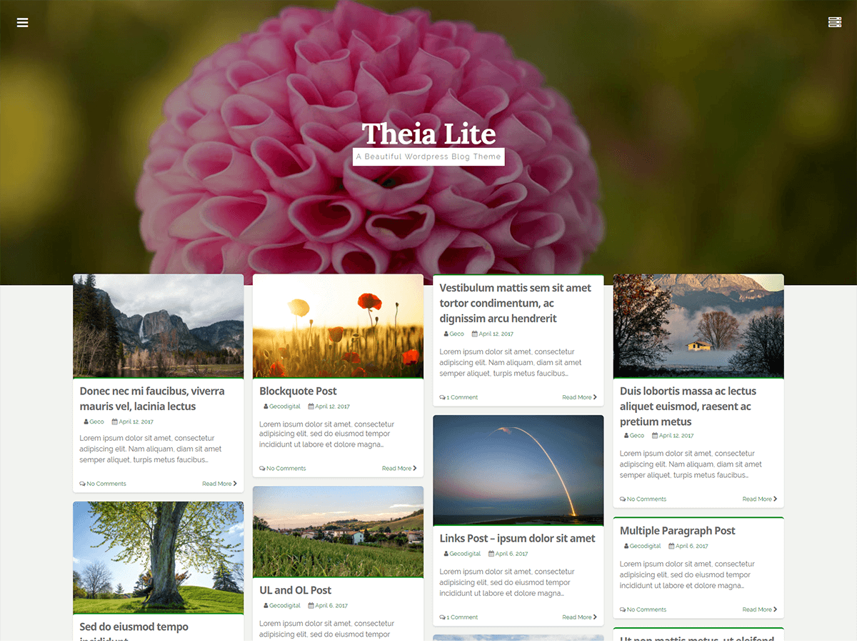 Theia Lite Preview Wordpress Theme - Rating, Reviews, Preview, Demo & Download