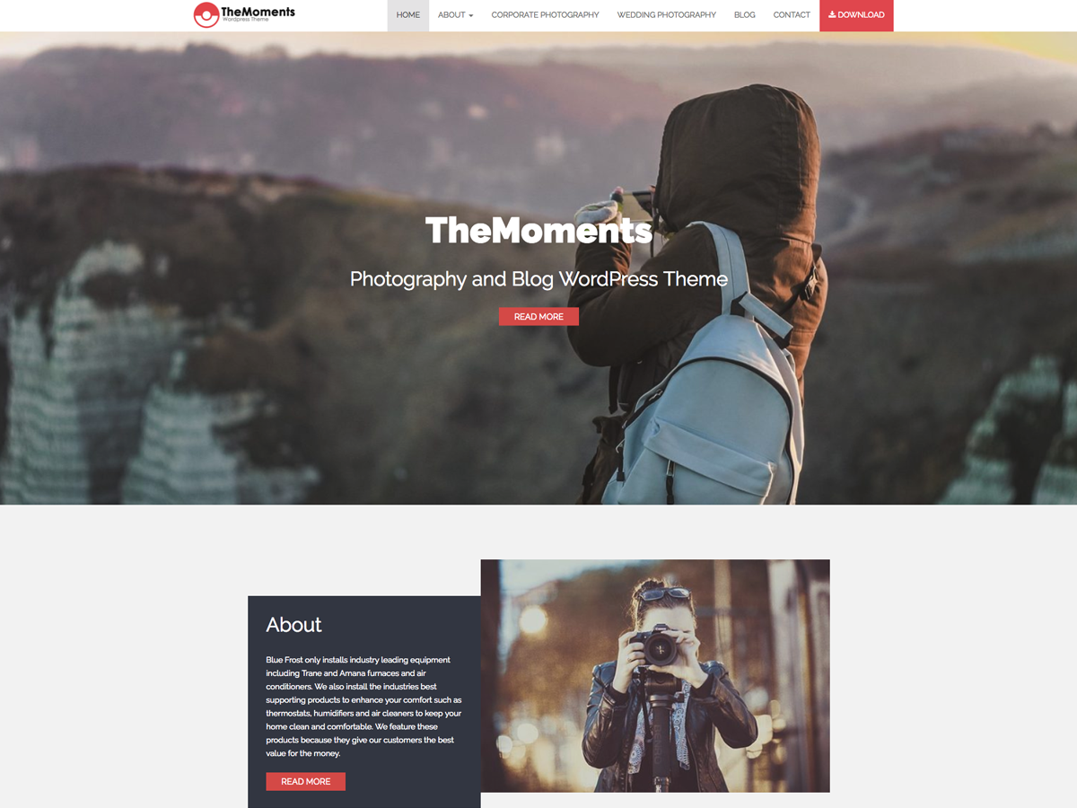TheMoments Preview Wordpress Theme - Rating, Reviews, Preview, Demo & Download