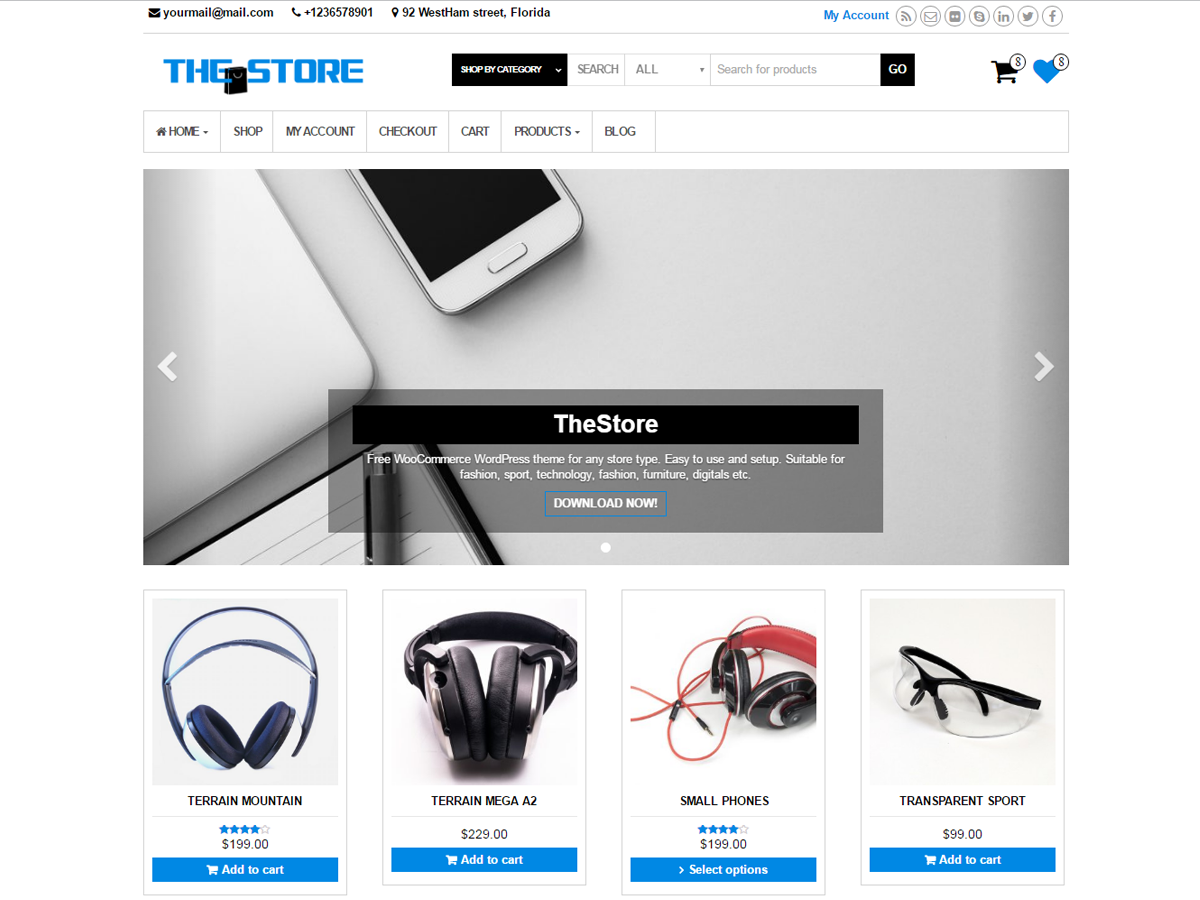 TheStore Preview Wordpress Theme - Rating, Reviews, Preview, Demo & Download