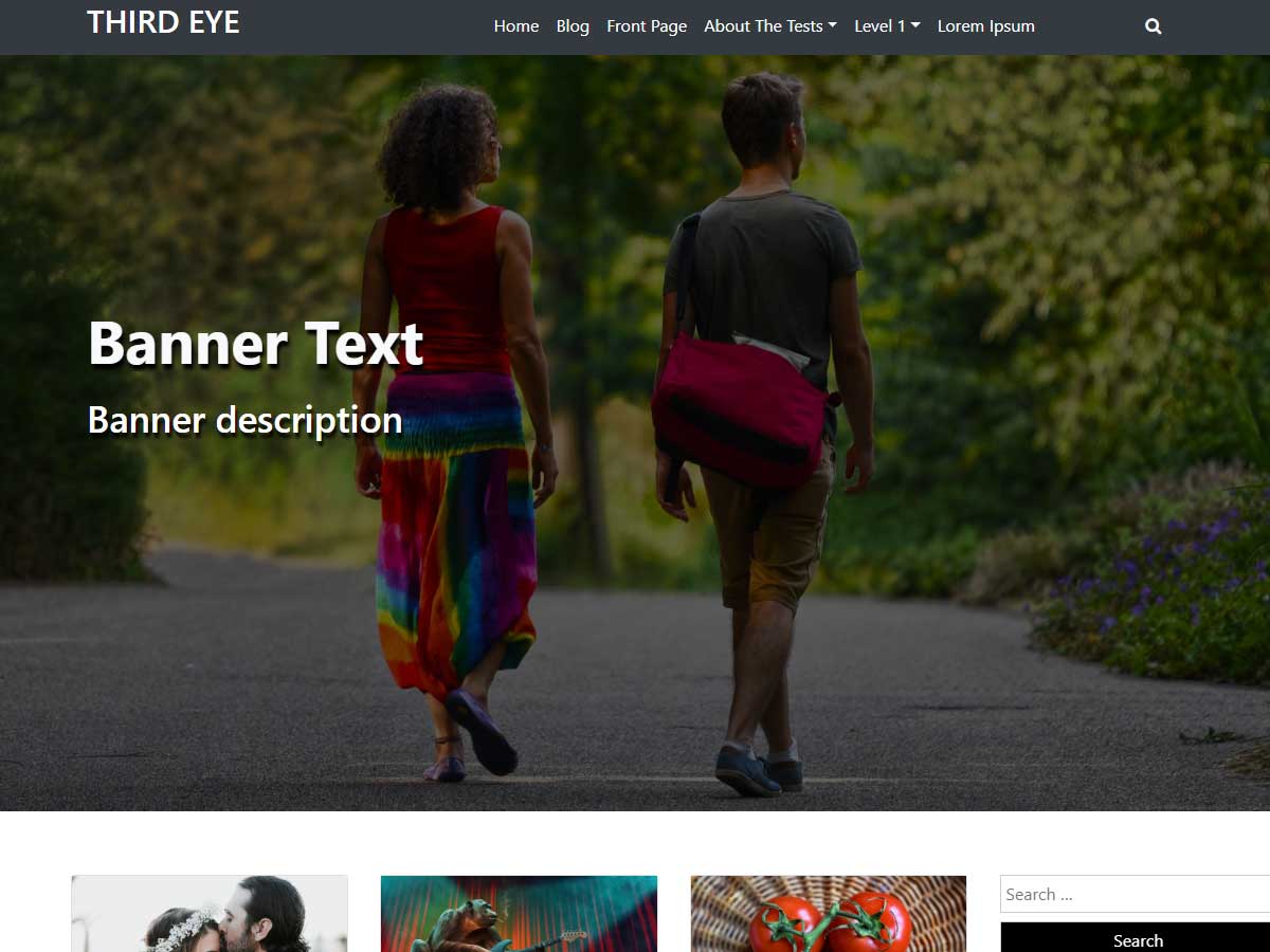 Third Eye Preview Wordpress Theme - Rating, Reviews, Preview, Demo & Download
