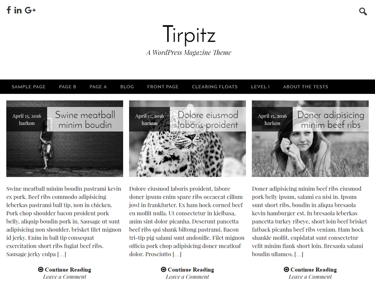 Tirpitz Preview Wordpress Theme - Rating, Reviews, Preview, Demo & Download