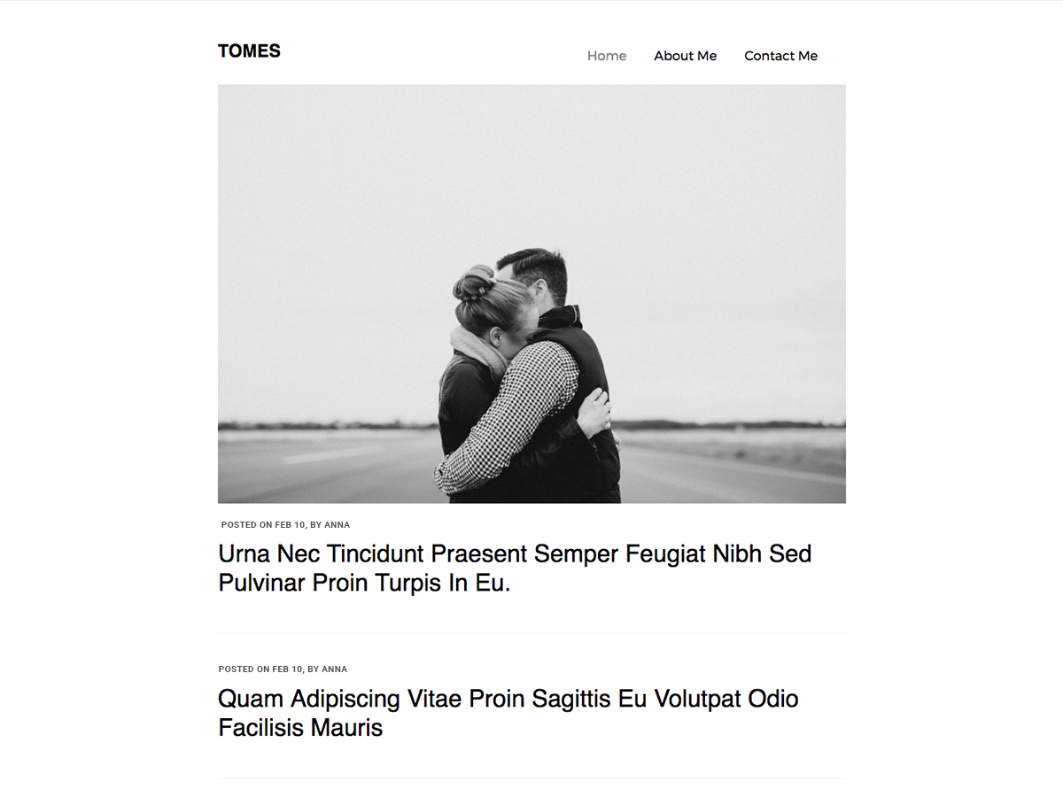 Tomes Preview Wordpress Theme - Rating, Reviews, Preview, Demo & Download