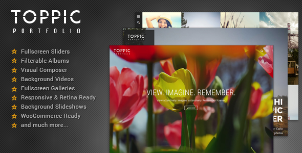 TopPic Preview Wordpress Theme - Rating, Reviews, Preview, Demo & Download