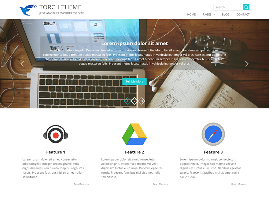 Torch Preview Wordpress Theme - Rating, Reviews, Preview, Demo & Download