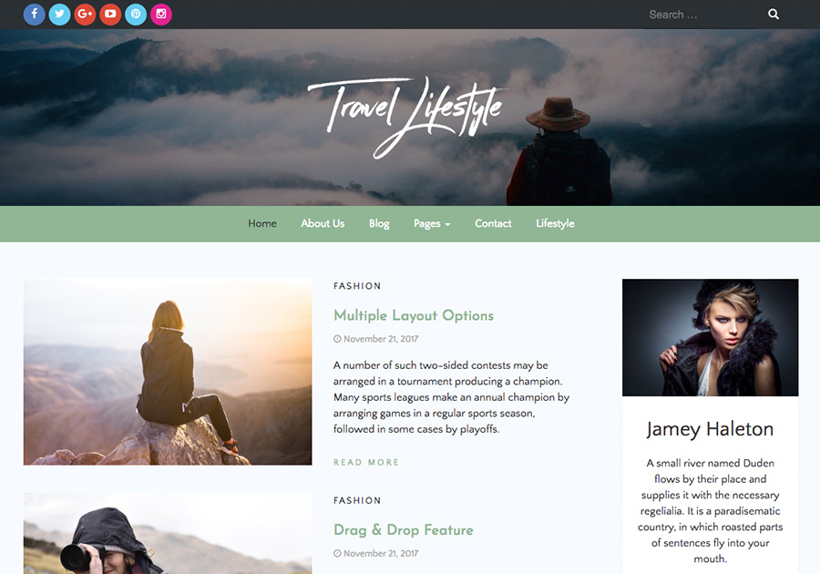 Travel Lifestyle Preview Wordpress Theme - Rating, Reviews, Preview, Demo & Download