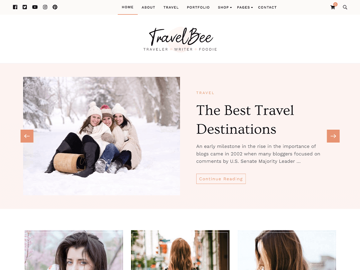 Travelbee Preview Wordpress Theme - Rating, Reviews, Preview, Demo & Download