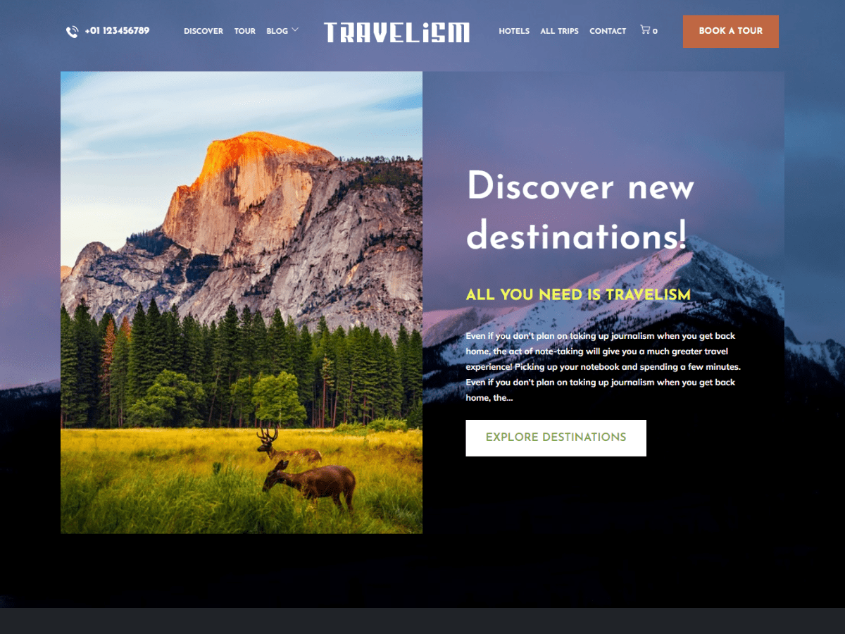 Travelism Preview Wordpress Theme - Rating, Reviews, Preview, Demo & Download