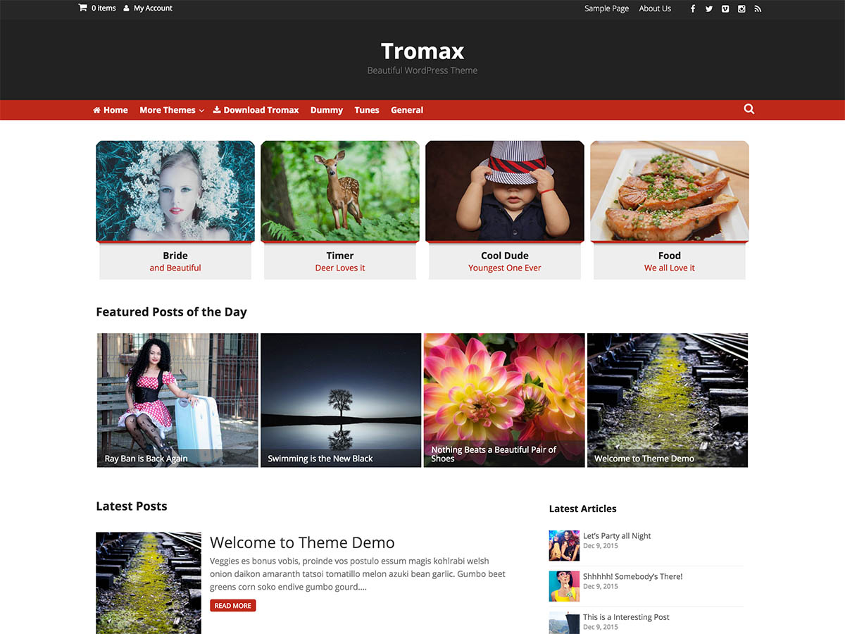 Tromax Preview Wordpress Theme - Rating, Reviews, Preview, Demo & Download