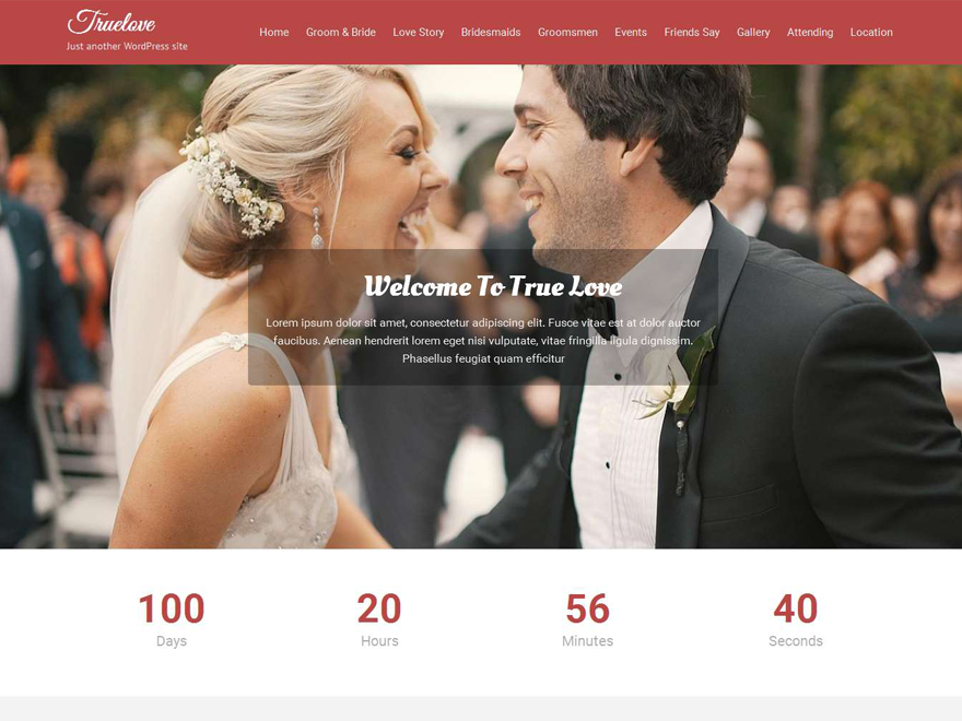 Truelove Preview Wordpress Theme - Rating, Reviews, Preview, Demo & Download