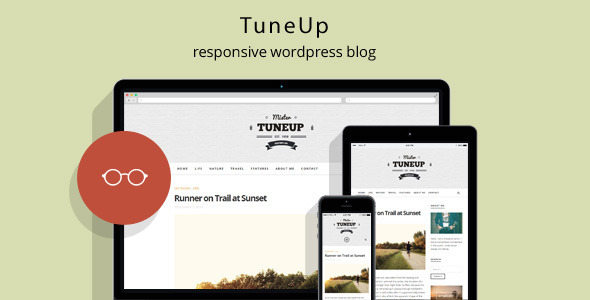 TuneUp Preview Wordpress Theme - Rating, Reviews, Preview, Demo & Download