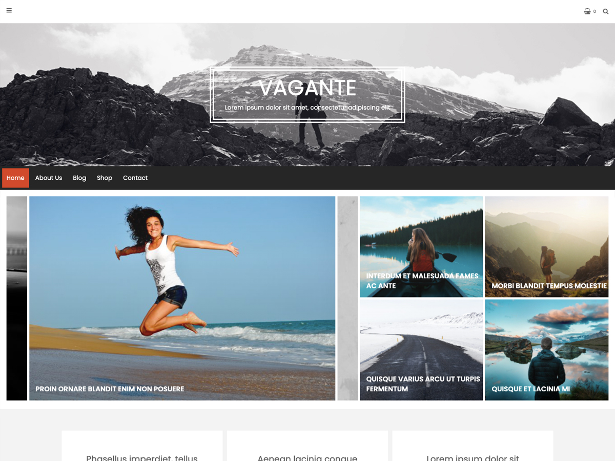 Vagante Preview Wordpress Theme - Rating, Reviews, Preview, Demo & Download