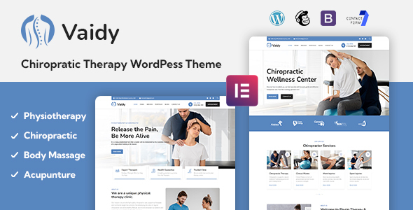 Vaidy Preview Wordpress Theme - Rating, Reviews, Preview, Demo & Download