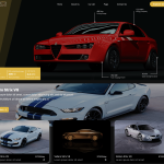 Vehicle Rental
