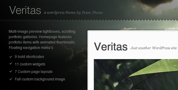 Veritas Wordpress Preview Wordpress Theme - Rating, Reviews, Preview, Demo & Download
