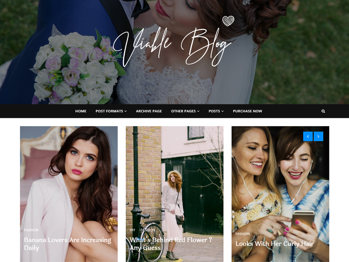 Viable Blog Preview Wordpress Theme - Rating, Reviews, Preview, Demo & Download