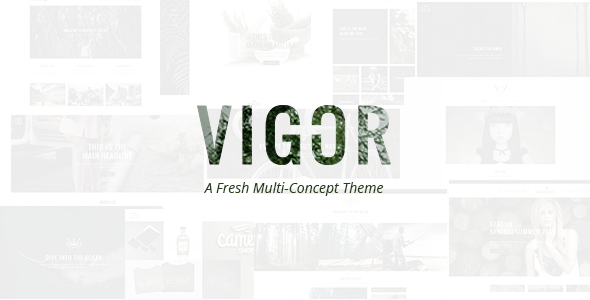 Vigor Preview Wordpress Theme - Rating, Reviews, Preview, Demo & Download